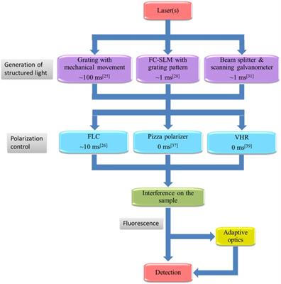 Advances in High-Speed Structured Illumination Microscopy